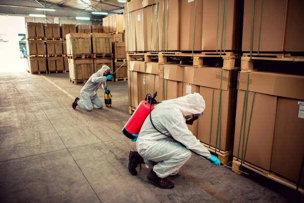 Best Local Pest Control Services  in Morgantown, PA