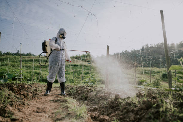 Pest Control Cost in Morgantown, PA