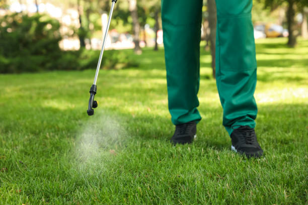 Best Best Pest Control Companies  in Morgantown, PA