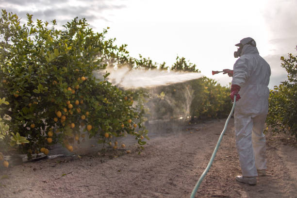 Best Pest Control Near Me  in Morgantown, PA
