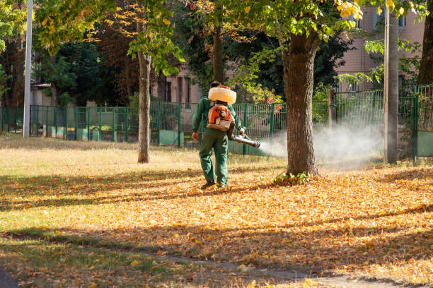 Best Pest Removal Services  in Morgantown, PA