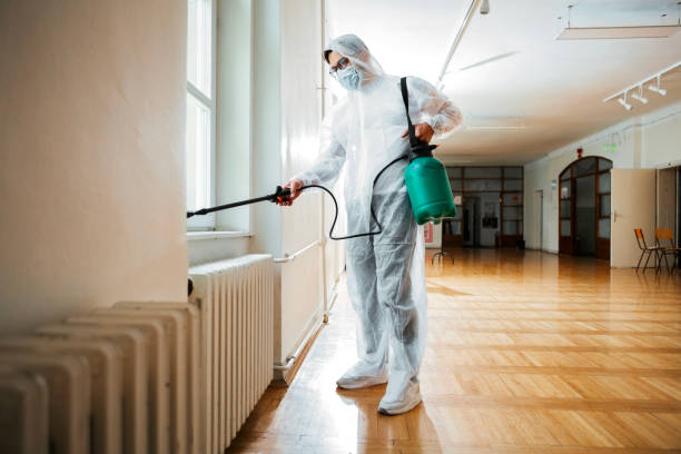Best Affordable Pest Control Services  in Morgantown, PA