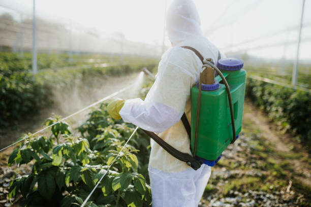 Best Flea Control Services  in Morgantown, PA